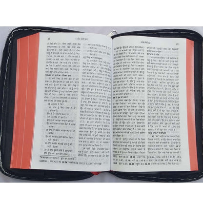 The Holy Punjabi Bible with Leather Type Bible Cover