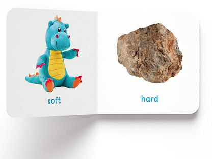 My First Complete Learning Library: Boxset of 20 Board Books