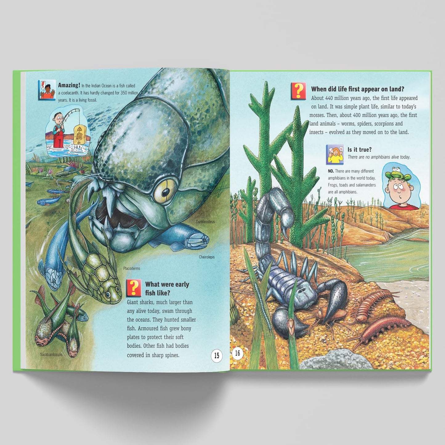 Fascinating Facts Earth