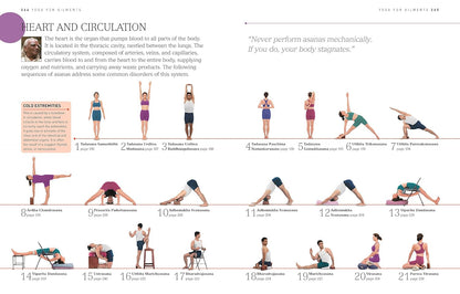 BKS Iyengar Yoga The Path to Holistic Health: The Definitive Step-by-Step Guide