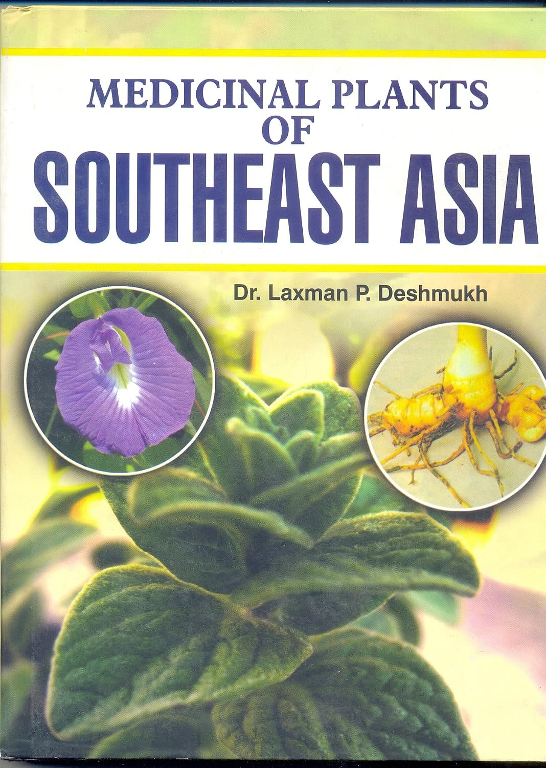Medicinal Plants of Southeast Asia