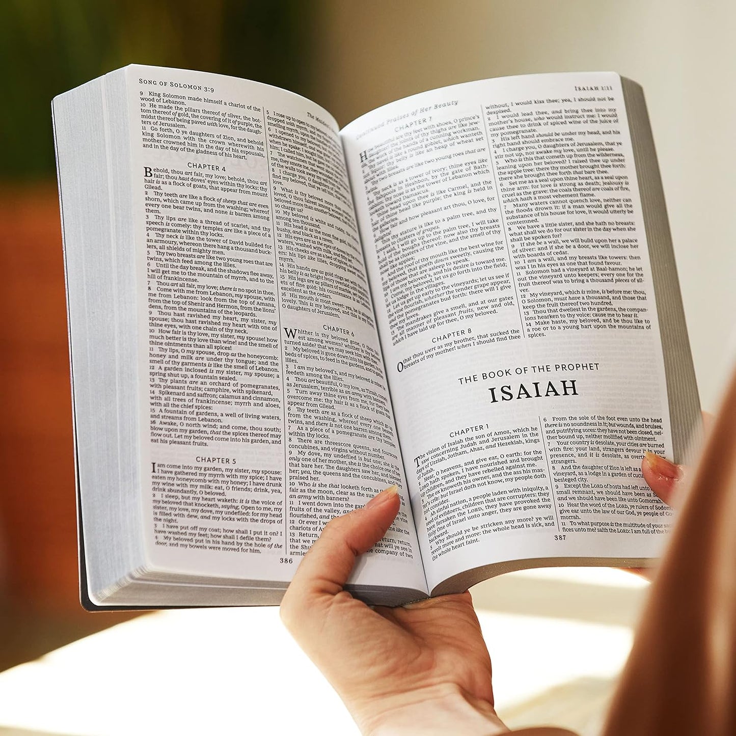 KJV, Holy Bible, Soft Touch Edition, Leathersoft Brown