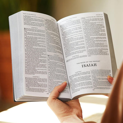 KJV, Holy Bible, Soft Touch Edition, Leathersoft Brown