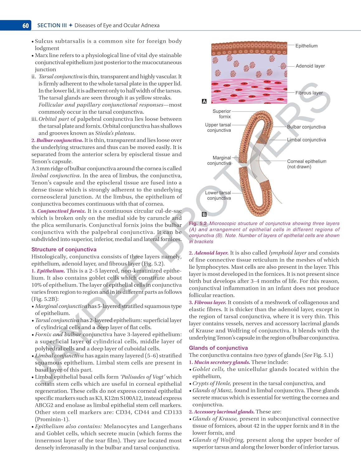 Comprehensive Ophthalmology with Ophthalmology Logbook (10th Edition)