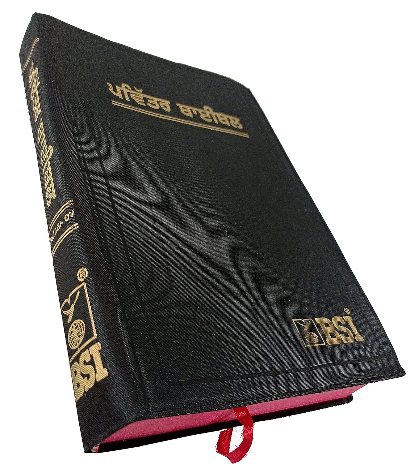 Holy Bible Punjabi (O.V.) Red Edge Contains Old And New Testament BSI