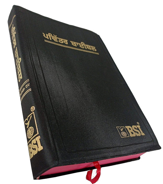 Holy Bible Punjabi (O.V.) Red Edge Contains Old And New Testament BSI -Punjabi