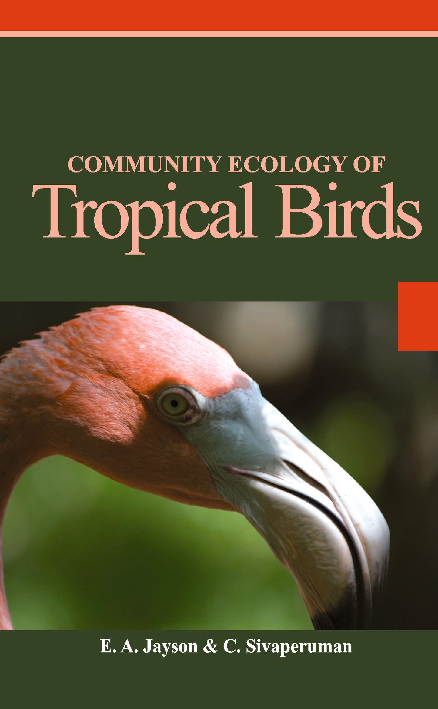 Community Ecology of Tropical Birds