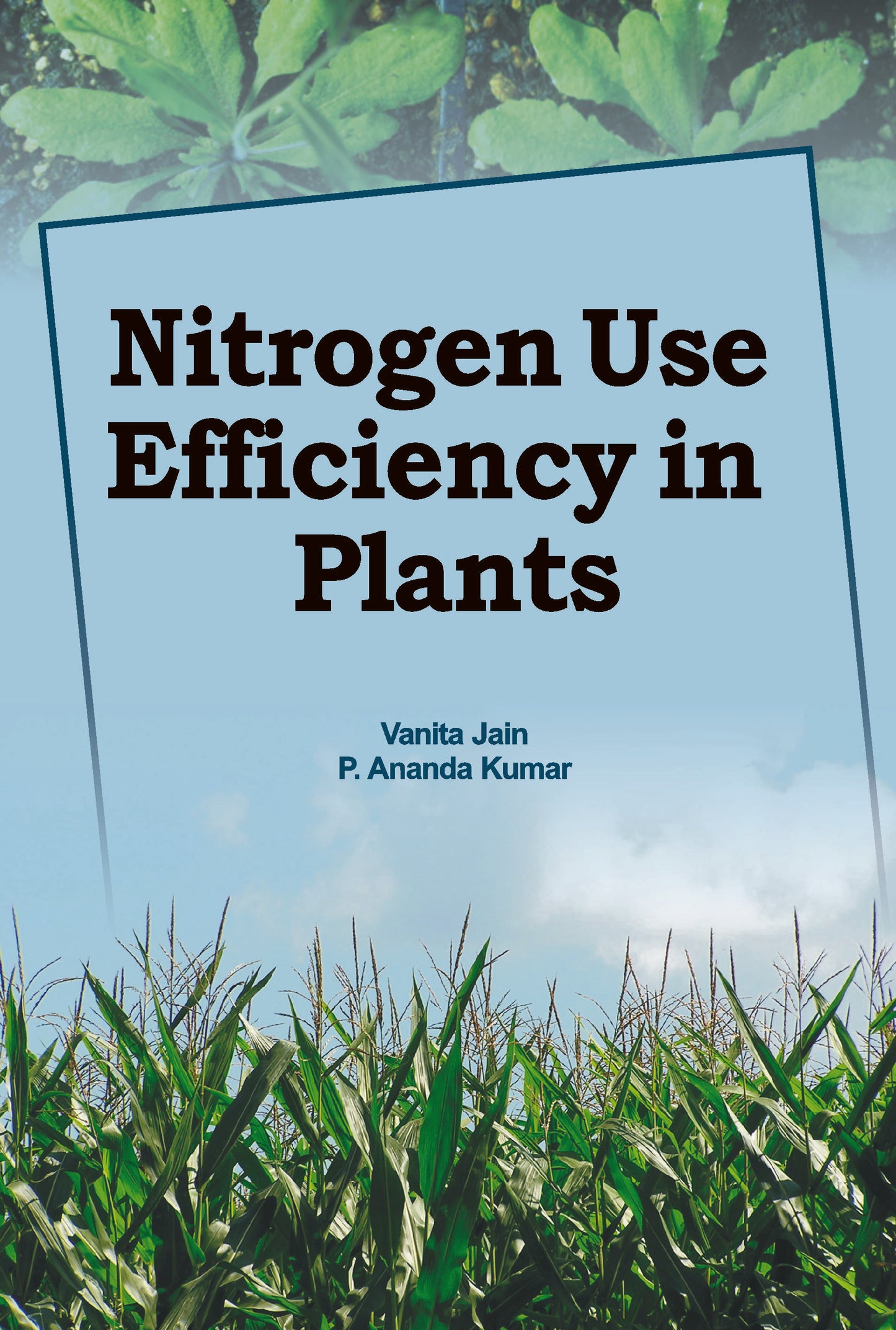 Nitrogen Use Efficiency in Plants