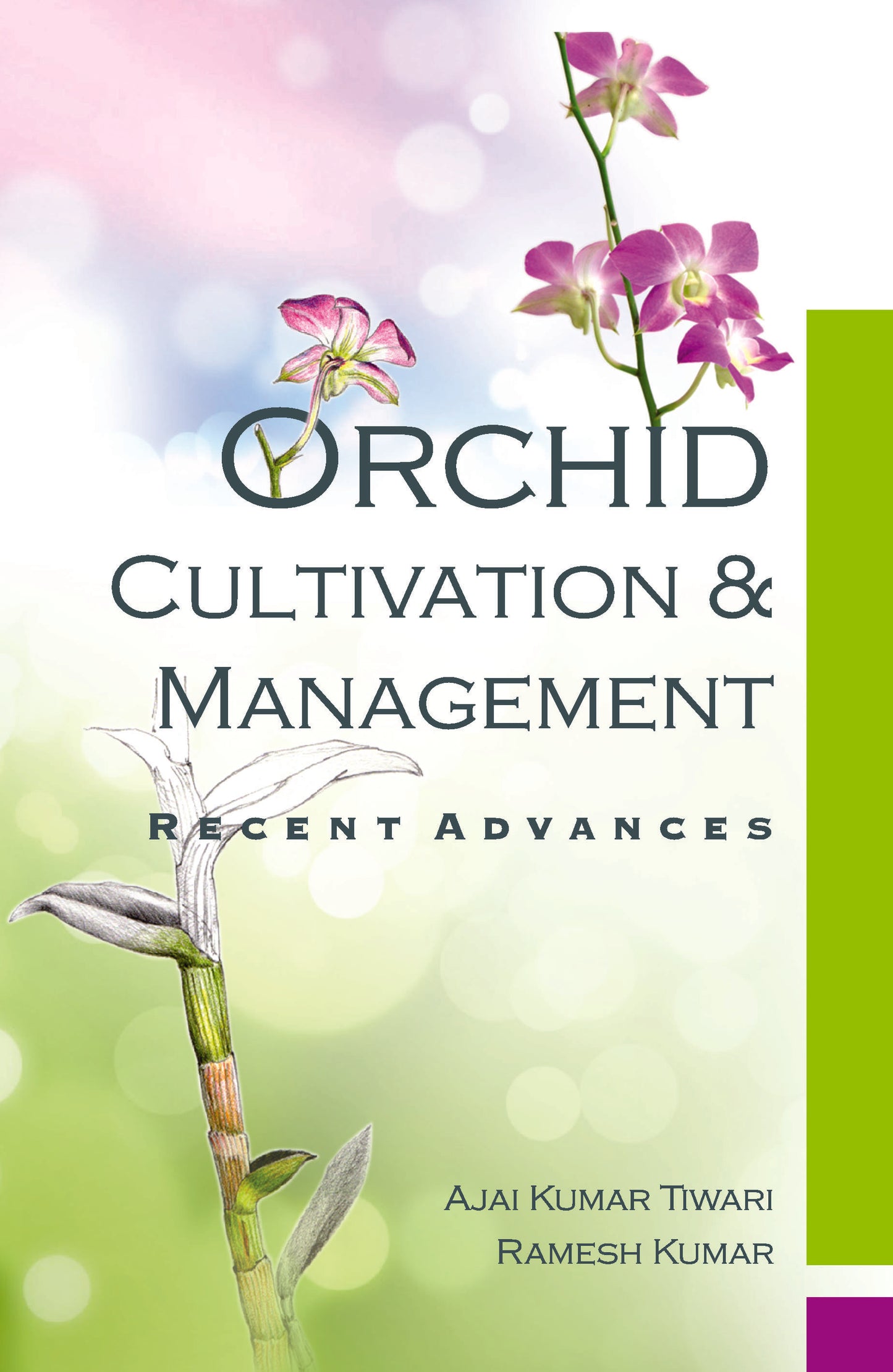 Orchid: Cultivation and Management