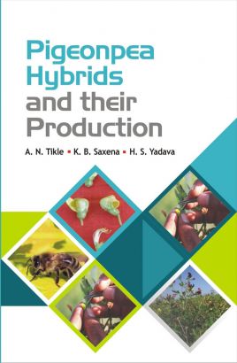 Pigeonpea Hybrids and Their Production