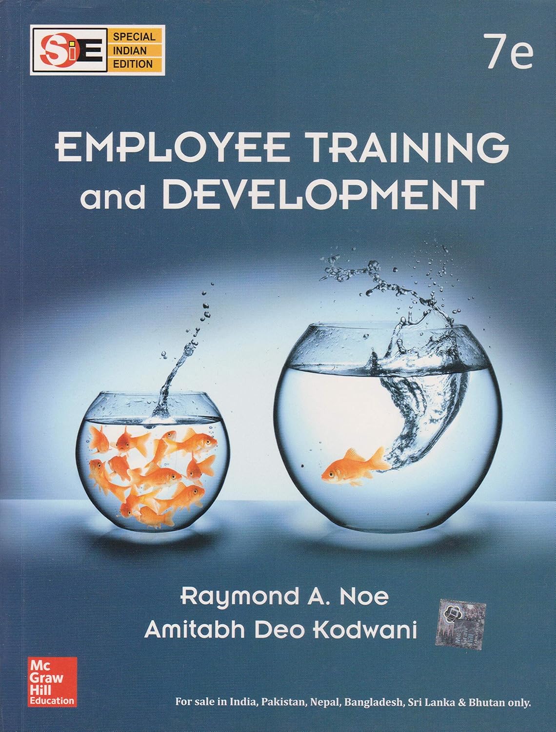 Employee Training And Development 7th Edition
