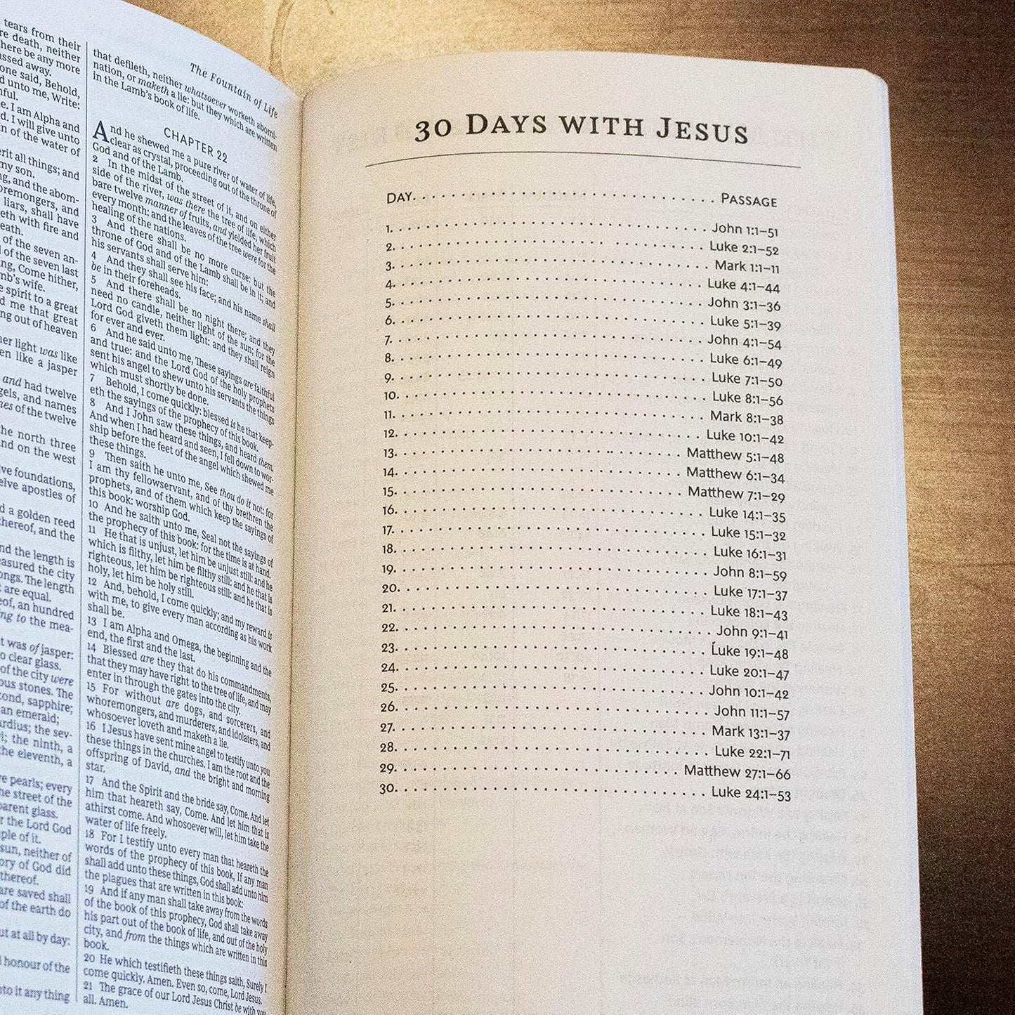 KJV, Holy Bible, Soft Touch Edition, Leathersoft Brown