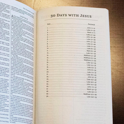 KJV, Holy Bible, Soft Touch Edition, Leathersoft Brown