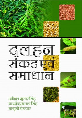Pulses: Problems and Solutions