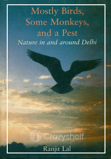 Mostly Birds, Some Monkeys, and a Pest (Nature in and Around Delhi)