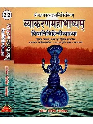 व्याकरणमहाभाष्यम् - Grammar Mahabhashyam- Vidyadhar Hindi Explanation (Set of 2 Volumes)