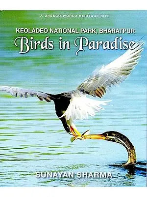 Keoladeo National Park, Bharatpur- Birds in Paradise (A Unesco World Heritage Site)