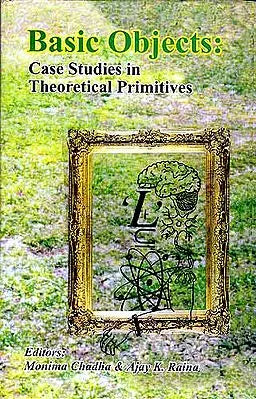Basic Objects: Case Studies in Theoretical Primitives