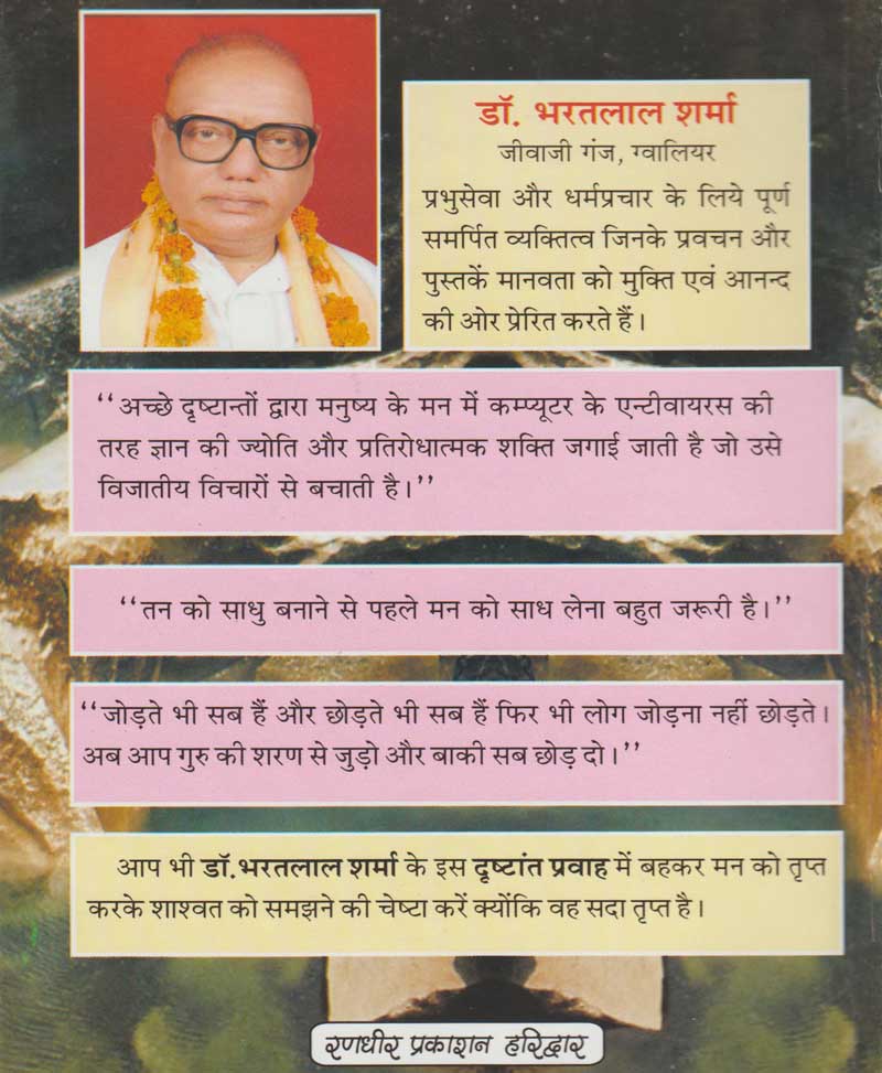 दृष्टान्त प्रवाह