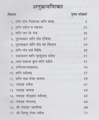 शनि उपासना