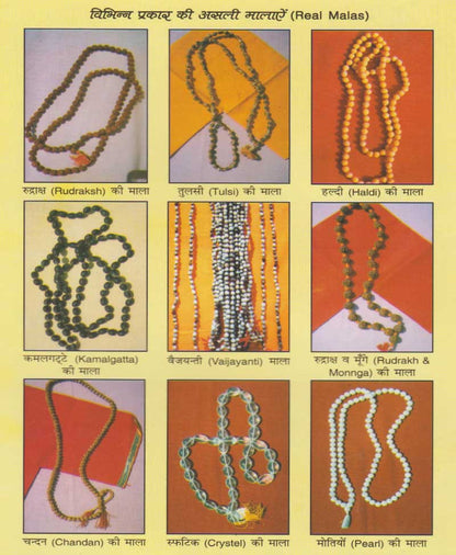 रुद्राक्ष और राशि के रत्न