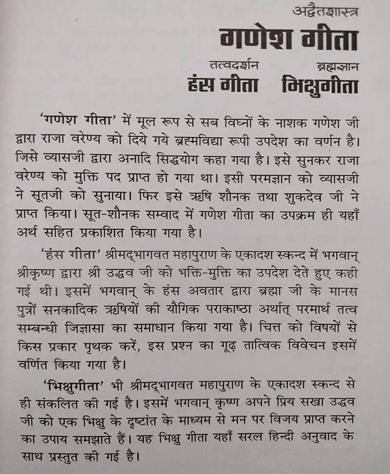 गणेश गीता, हंस गीता, भिक्षु गीता