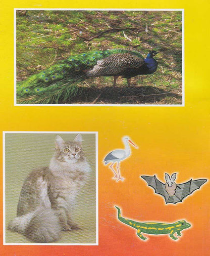 उल्लू तंत्र, कौवा तंत्र और पशु पक्षी तंत्र