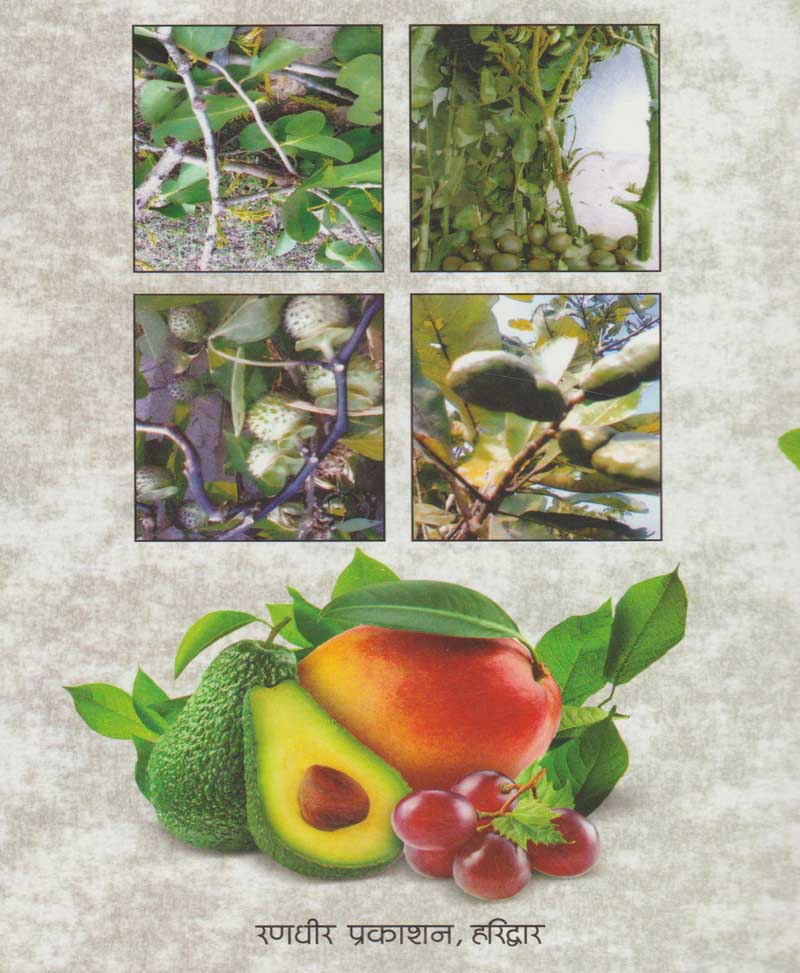 जड़ी बूटियाँ, चित्र, परिचय व प्रयोग