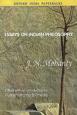 Essays on Indian Philosophy