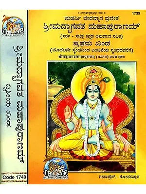 ಶ್ರೀಮದ್ಭಗವತ್ ಮಹಾಪುರನಮ್: Srimad Bhagavat Mahapurana in Kannada (Set of 2 Volumes)