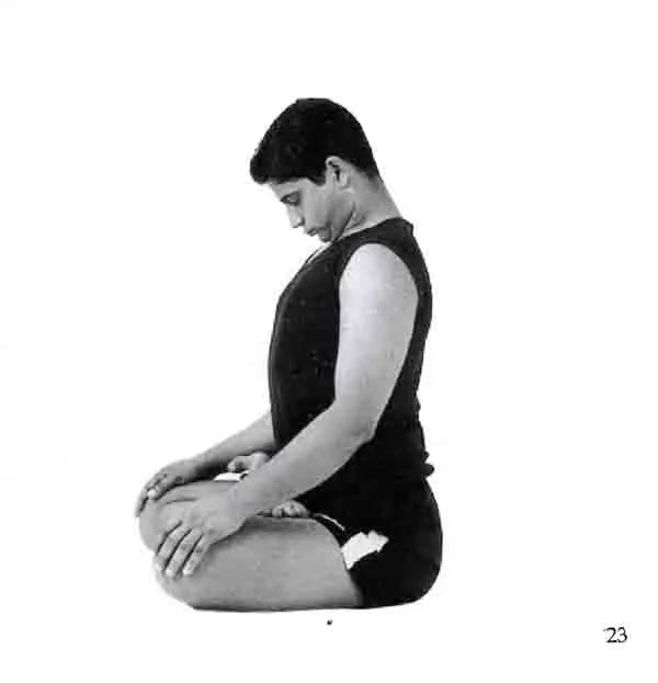 Six Books on Yoga by Bharat Thakur (Set of 6 Books)