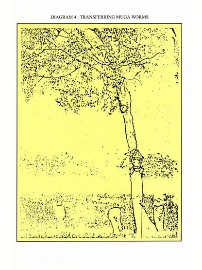 Indigenous Industries of Assam (1870-1925)