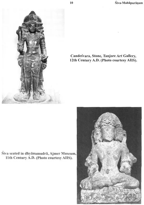 Siva Mahapurana Vol. 2 and Vol. 3 , translated by Shanti Lal Nagar