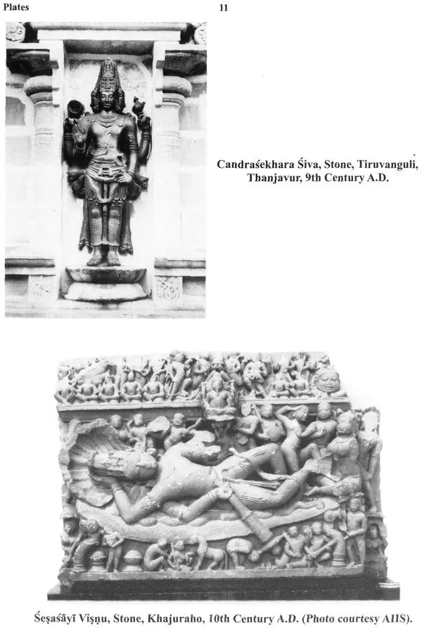 Siva Mahapurana Vol. 2 and Vol. 3 , translated by Shanti Lal Nagar