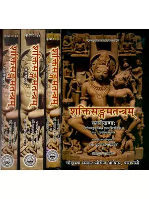 शक्तिसङ्गमतन्त्रम् - Shakti Sangam Tantram (Set of 4 Volumes)