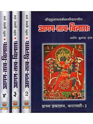 आगम-तत्त्व-विलास: - Agam Tattva Vilas (Set of 4 Volumes)