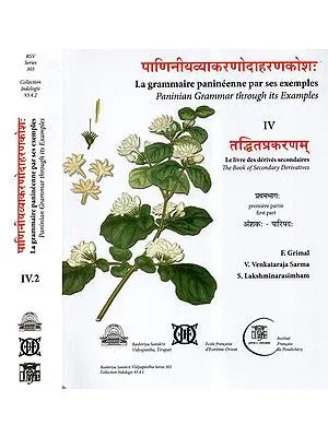 पाणिनीयव्याकरणोदाहरणकोश: (तद्धितप्रकरणम्)- Paninian Grammar Through its Examples (The Book of Secondary Derivatives)- Set of Two Volumes