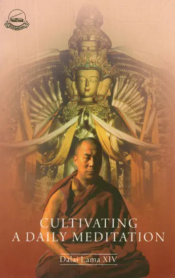 Cultivating a Daily Meditation