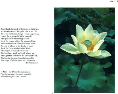 The Spiritual Significance of Flowers (Set of 2 Volumes)