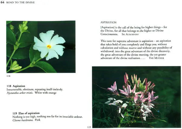 The Spiritual Significance of Flowers (Set of 2 Volumes)