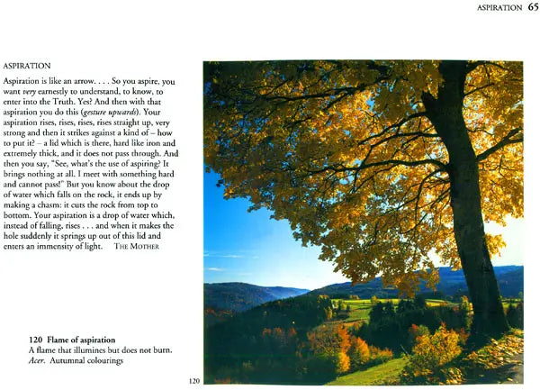 The Spiritual Significance of Flowers (Set of 2 Volumes)