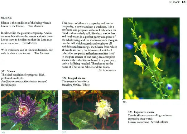 The Spiritual Significance of Flowers (Set of 2 Volumes)