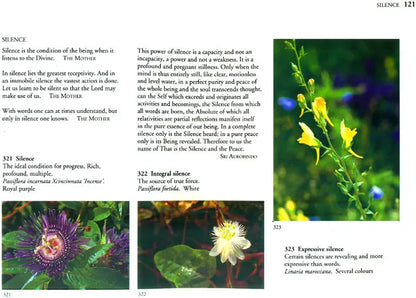 The Spiritual Significance of Flowers (Set of 2 Volumes)