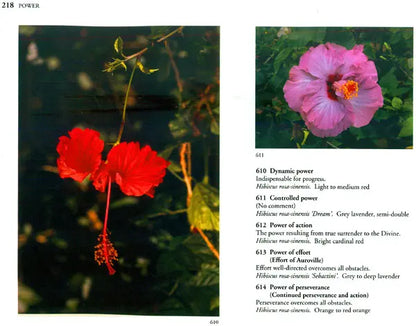 The Spiritual Significance of Flowers (Set of 2 Volumes)