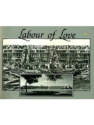 Labour of Love