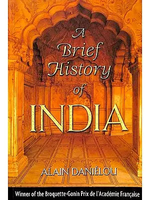 A Brief History of India