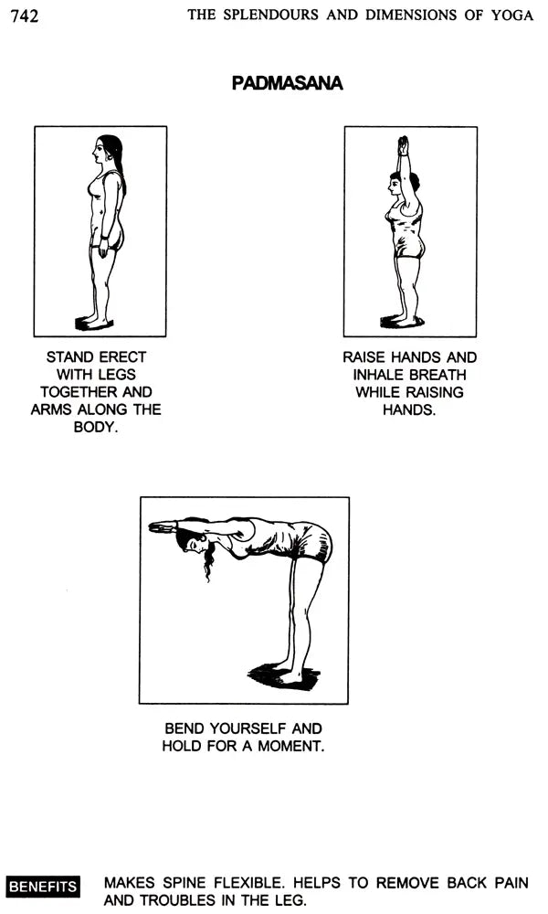 The Splendours and Dimensions of Yoga (Set of 2 Volumes)