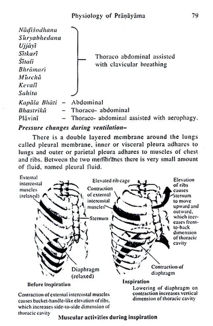 Pranayama (The Modulator of Life)