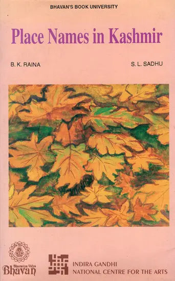 Place Names in Kashmir