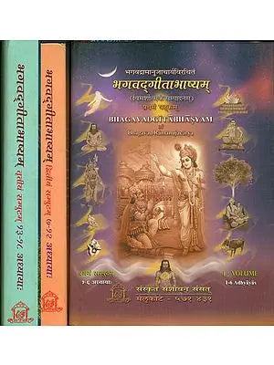 भगवद्गीताभाष्यम्: Ramanuja's Commentary on the Gita with Explanation (Set of 3 Volumes)